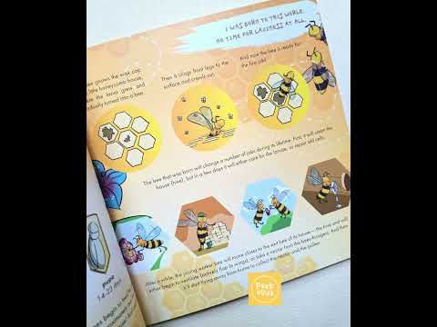 youtube - [Video]
