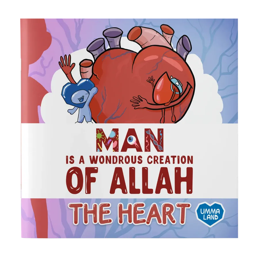 Man is a Wondrous Creation of Allah - The Heart